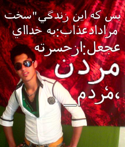 mohammadreza&nbsp;jahanger